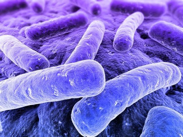 Legionella in QLD Hospitals and Aged Care