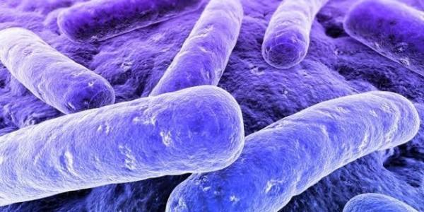 Legionella in QLD Hospitals and Aged Care