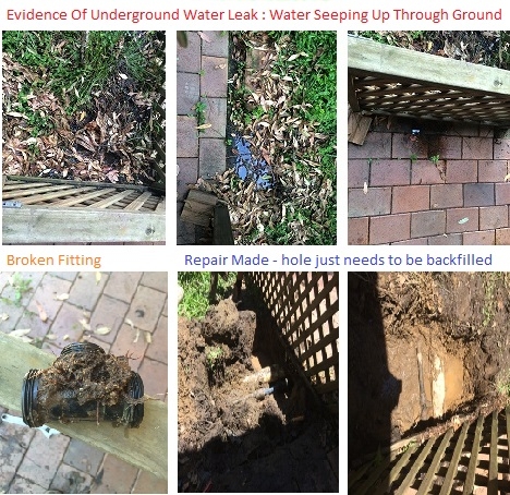 Do You Have An Underground Water Leak?